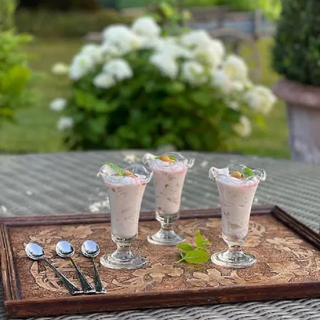 Chateau Pont Jarno Bed & Breakfast Champdeniers