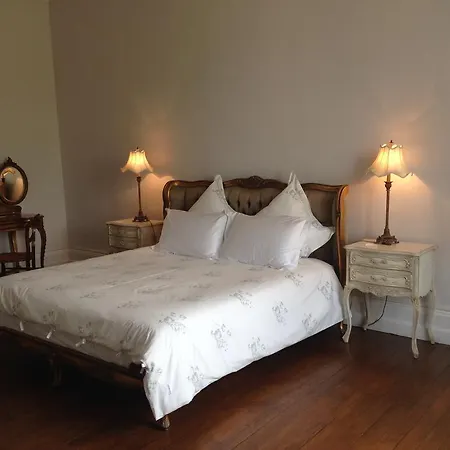 Chateau Pont Jarno 住宿加早餐酒店 4*