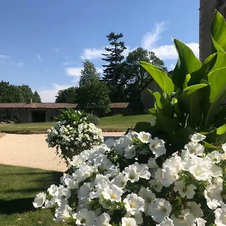 Chateau Pont Jarno Bed & Breakfast Champdeniers